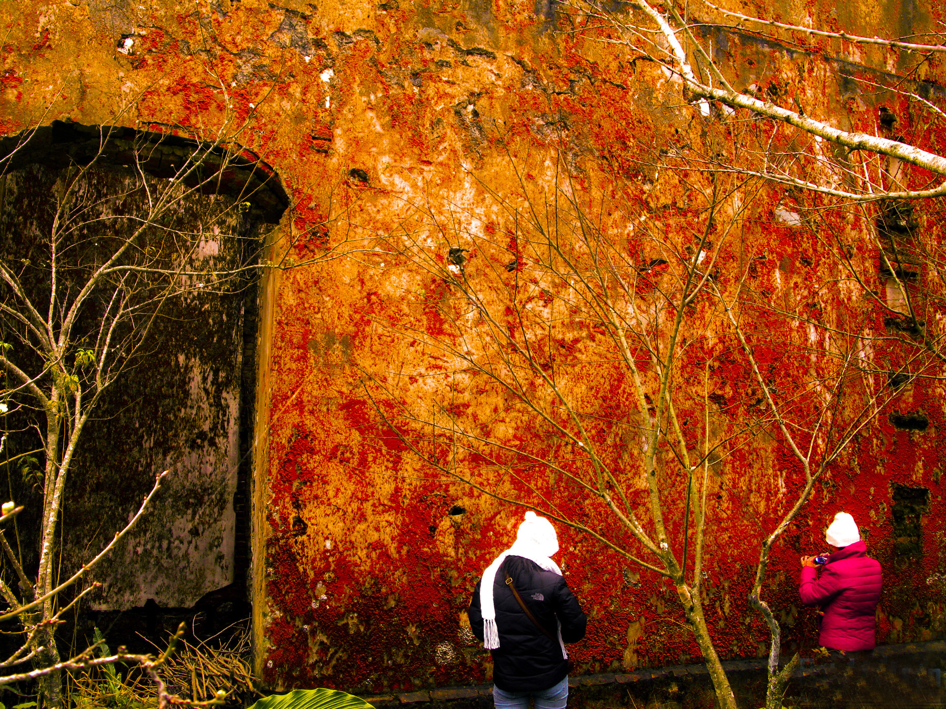 Rêu đỏ ở tu viện cổ Tả Phìn