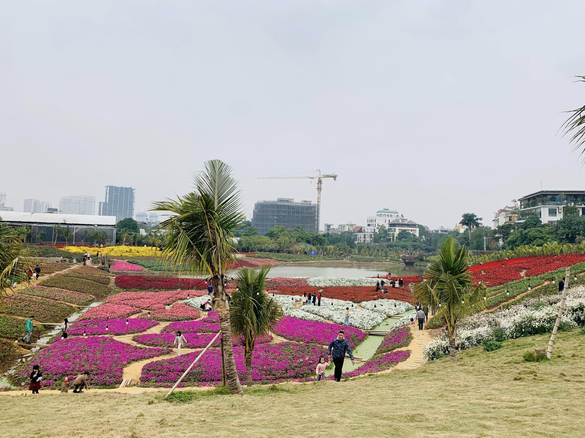 Thung lung hoa ho tay 3