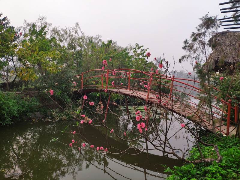 Tổng quan về công viên thực vật cảnh Việt Nam 