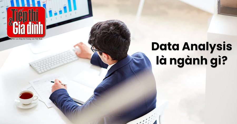 data-analysis-la-nganh-gi