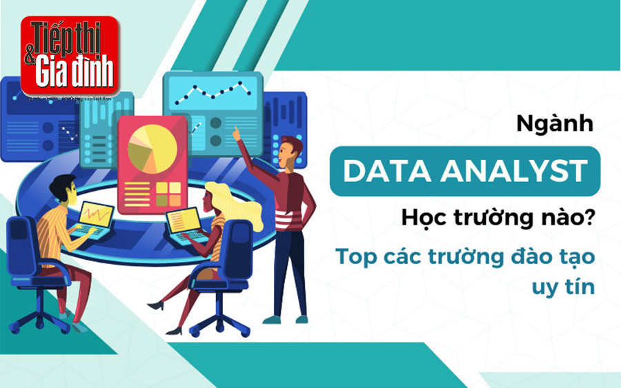 nganh-data-analyst-hoc-truong-nao
