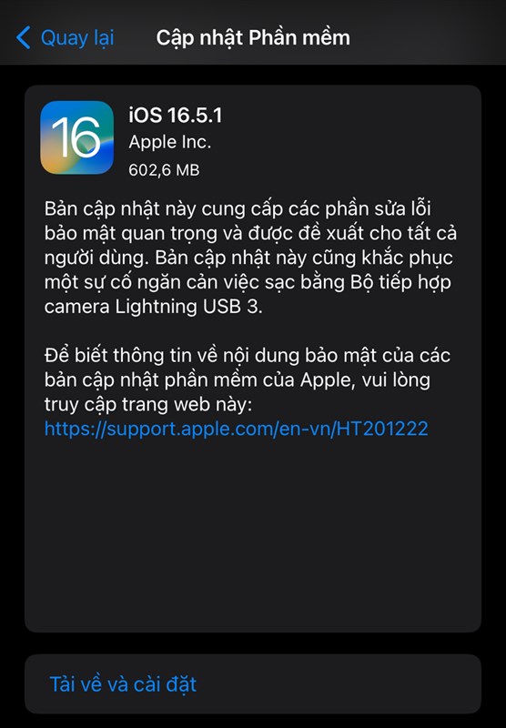 iOS 16.5.1 Tiepthigiadinh H2