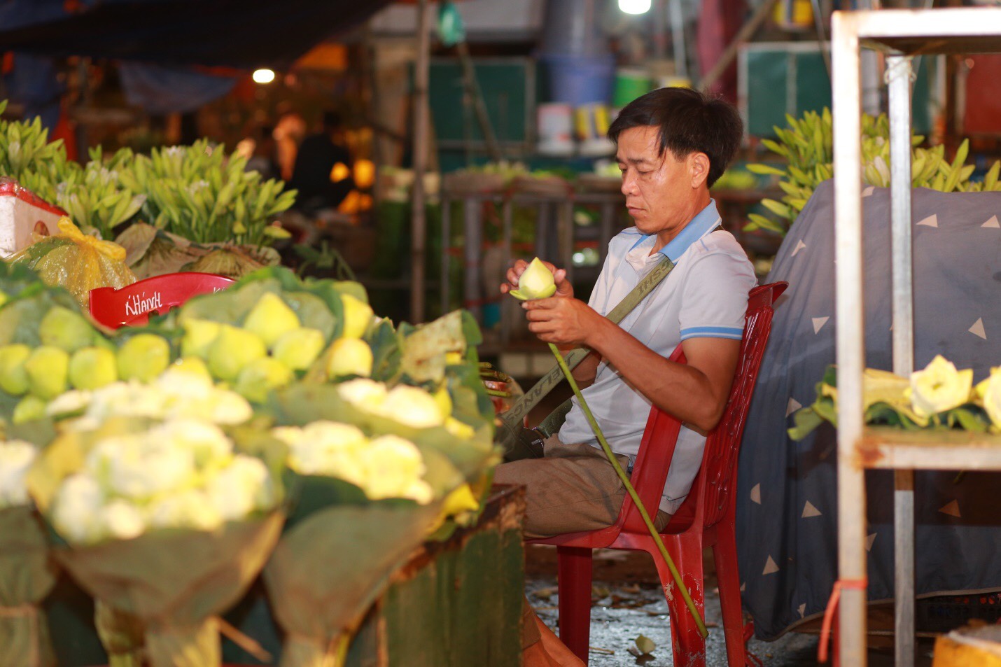 Đông đảo giới trẻ đến check in, chụp ảnh tại chợ hoa đêm Quảng Bá - Hà Nội