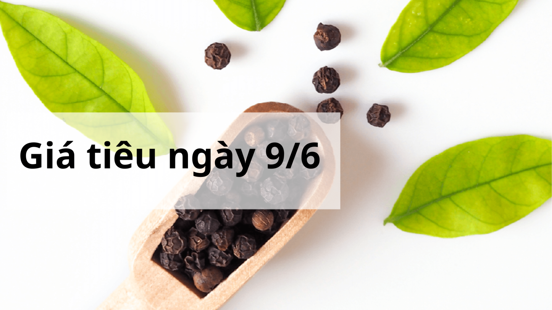 Giá tiêu hôm nay ngày 1605 (22)