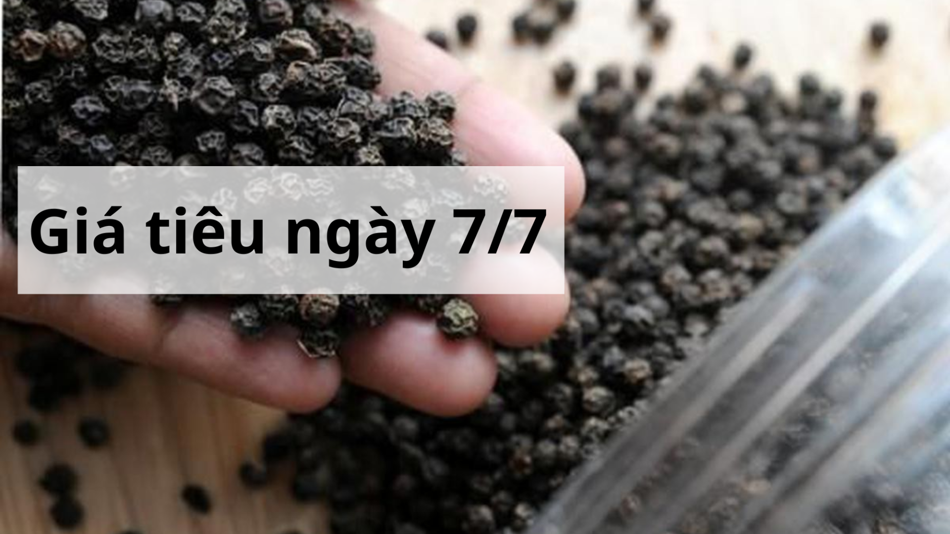 Giá tiêu hôm nay ngày 1605 (12)