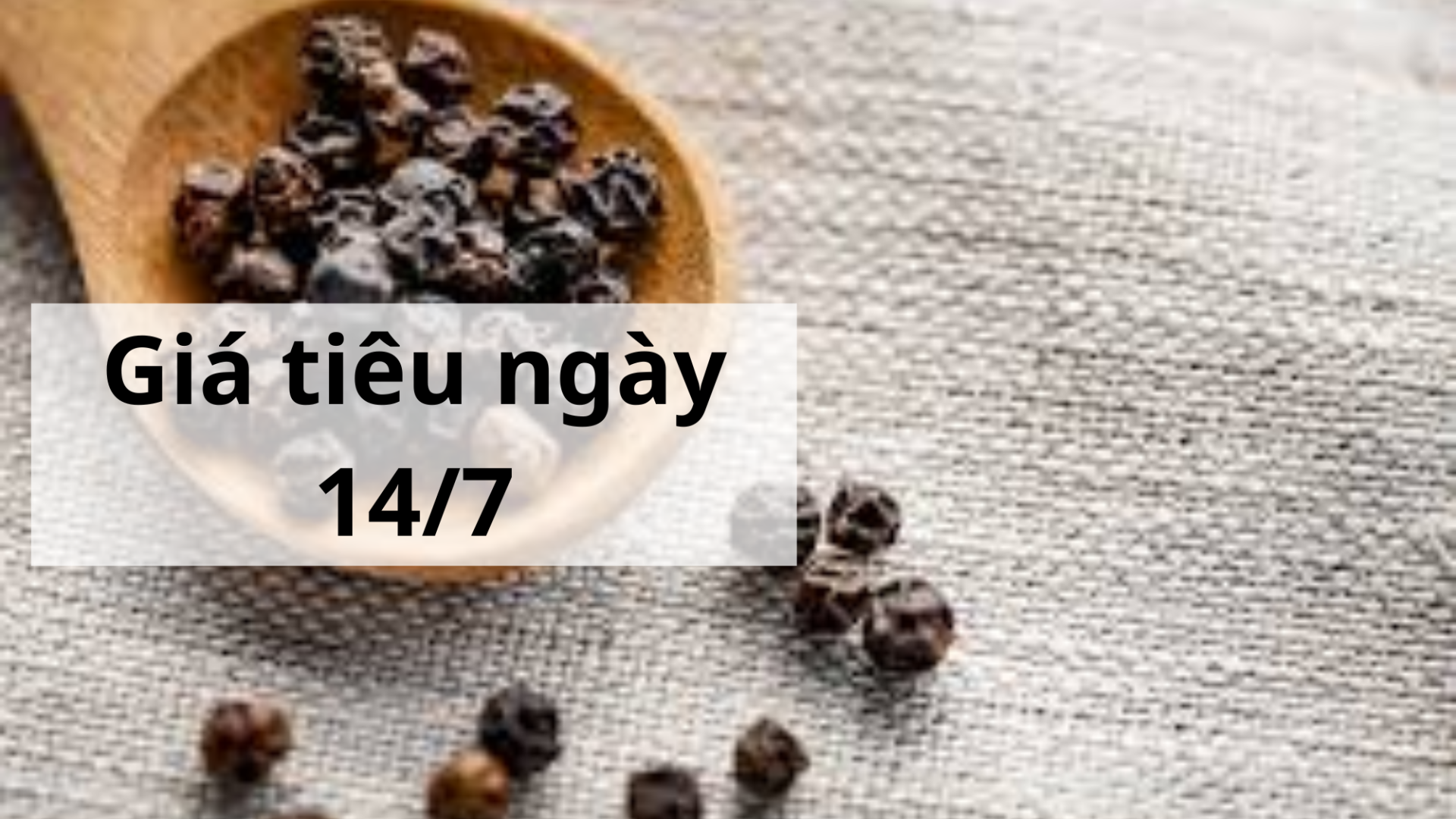 Giá tiêu hôm nay ngày 1605 (6)