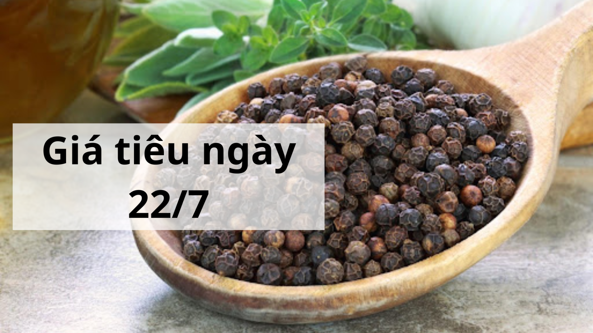 Giá tiêu hôm nay ngày 1605 (16)