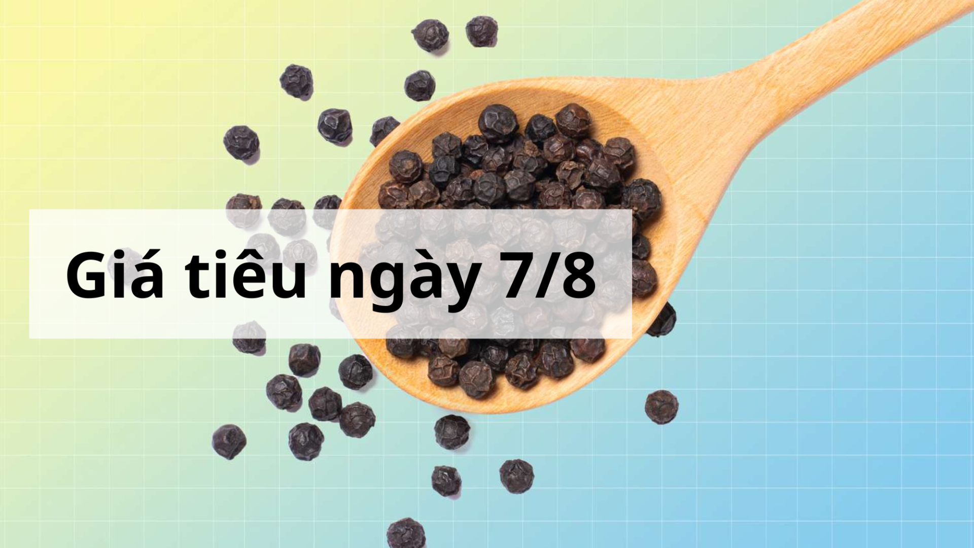 Giá tiêu hôm nay ngày 1605 (3)