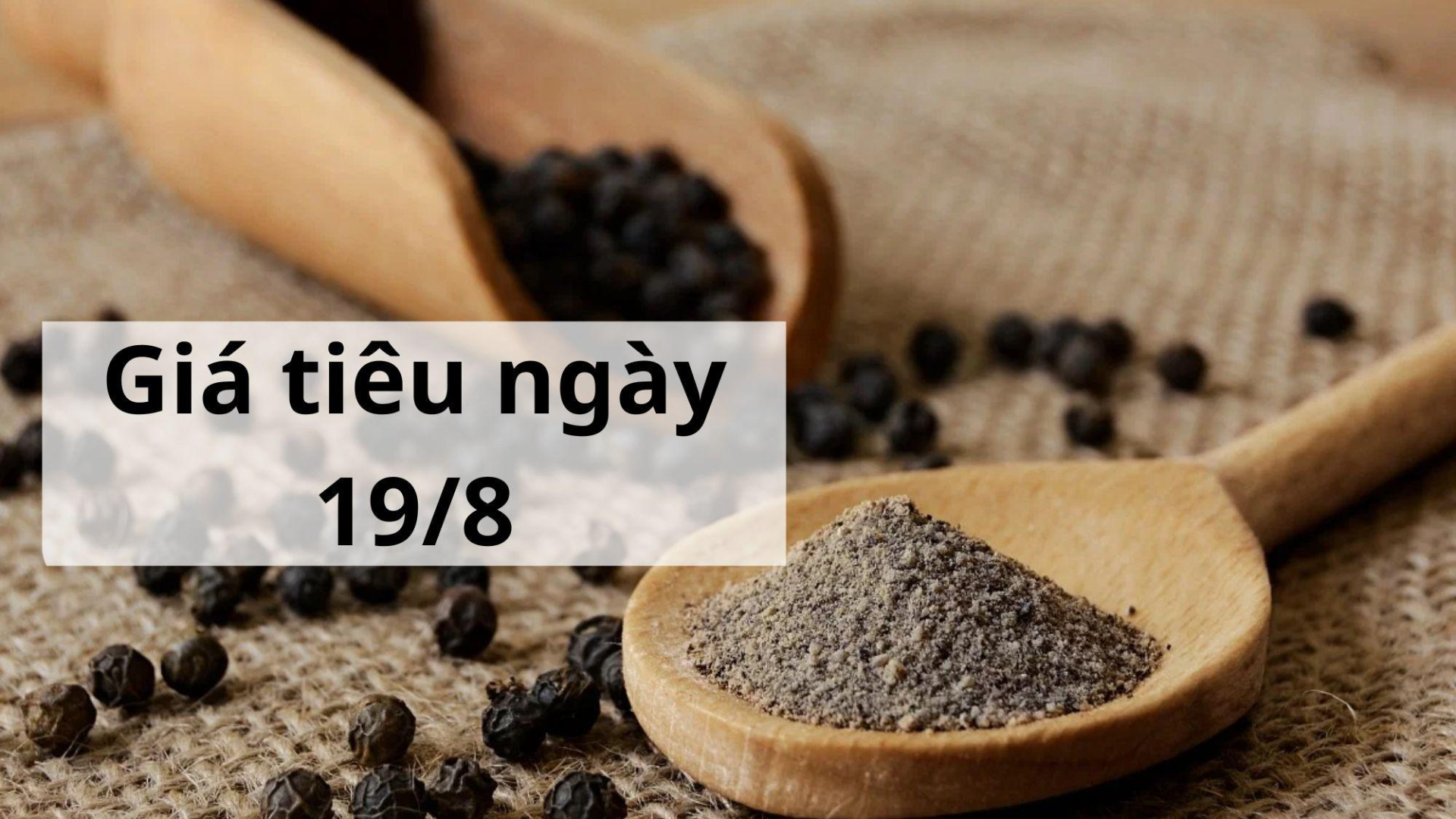 Giá tiêu hôm nay ngày 1605 (3)