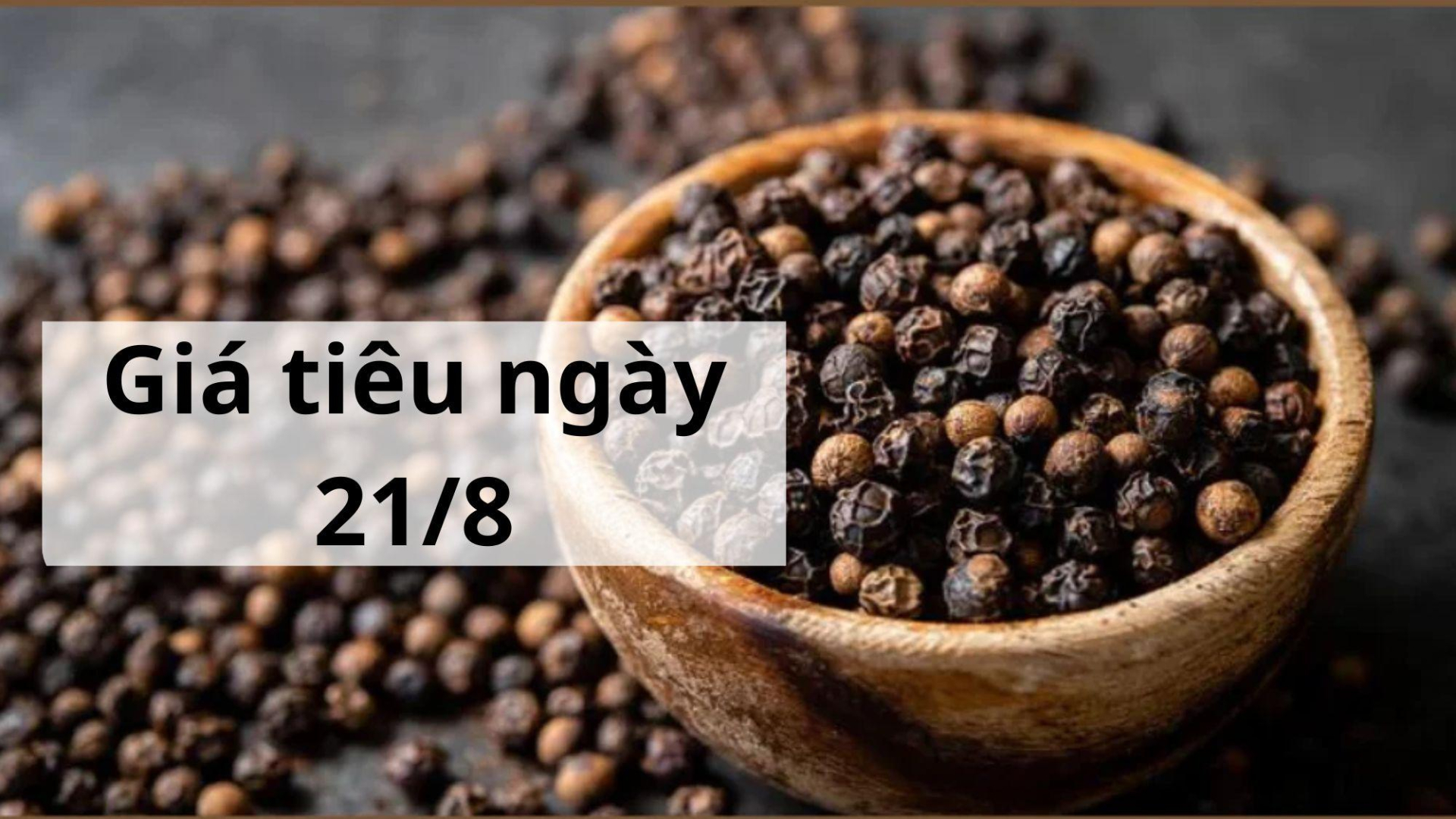 Giá tiêu hôm nay ngày 1605 (8)