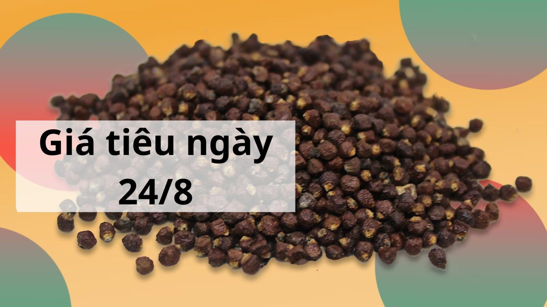 Giá tiêu hôm nay ngày 1605 (11)