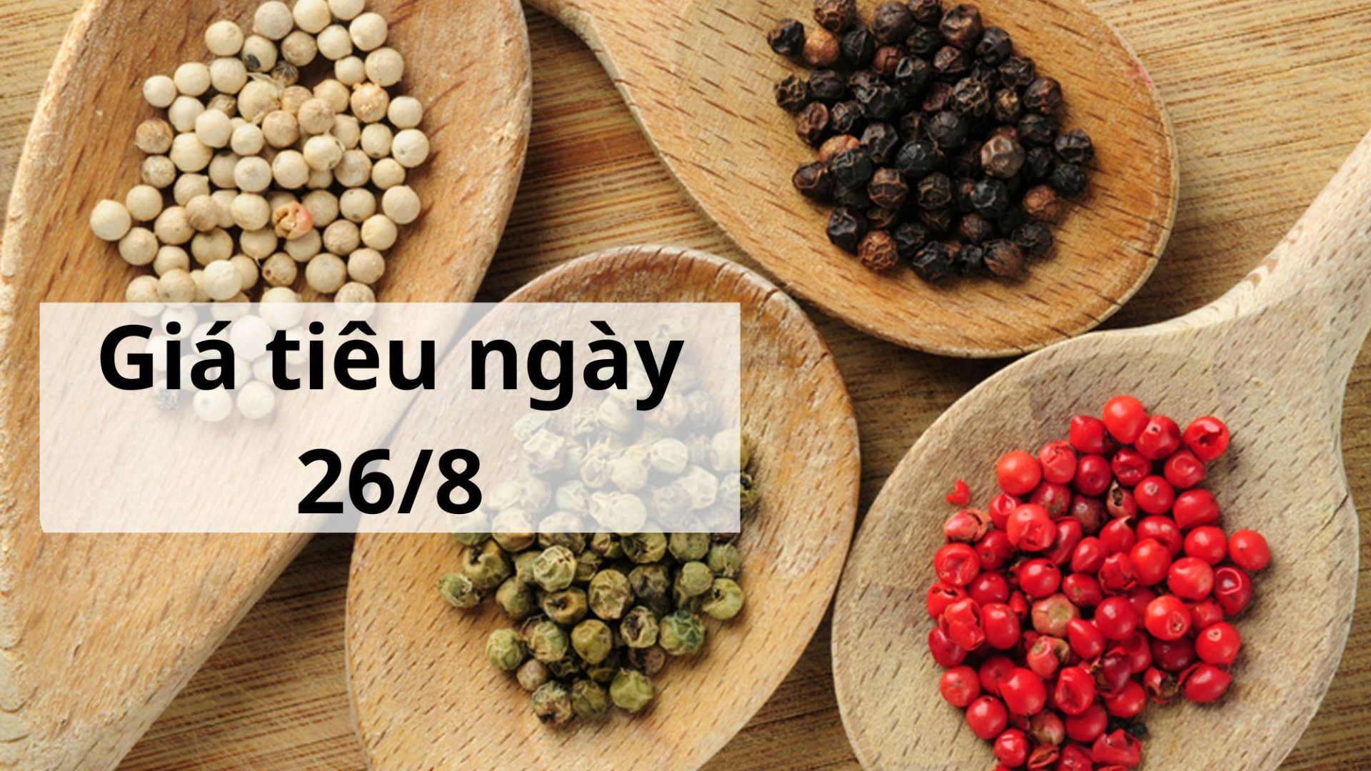 Giá tiêu hôm nay ngày 1605 (16)