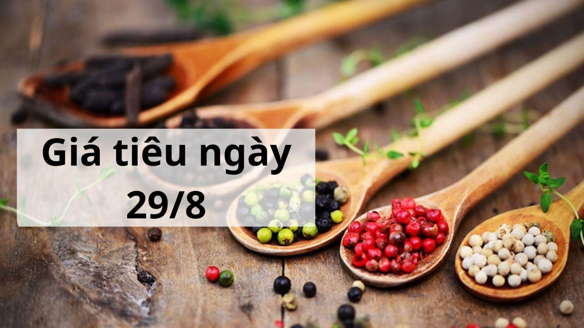 Giá tiêu hôm nay ngày 1605 (5)