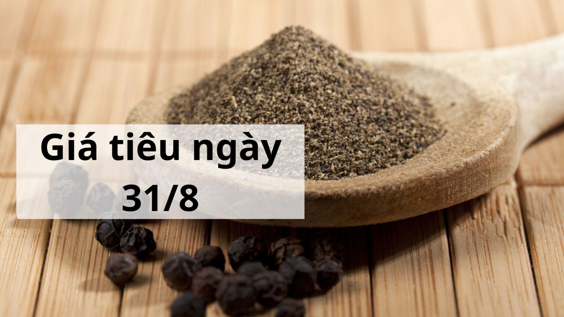 Giá tiêu hôm nay ngày 1605 (3)