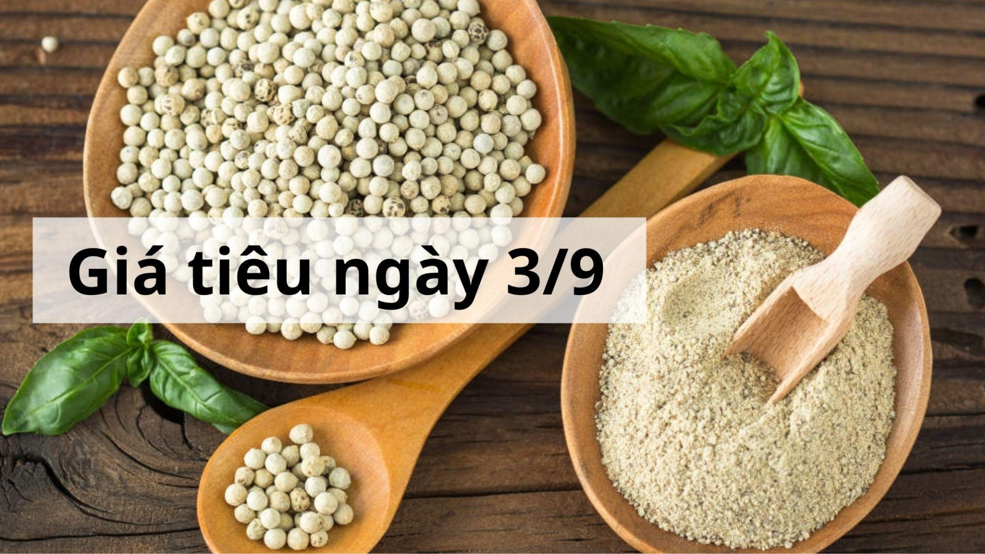 Giá tiêu hôm nay ngày 1605 (8)