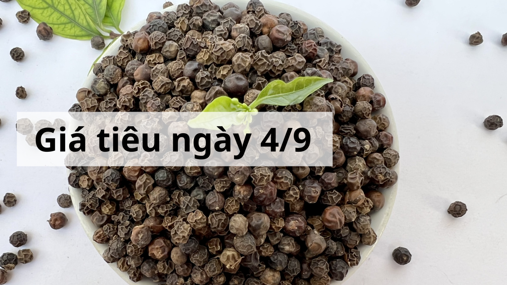 Giá tiêu hôm nay ngày 1605