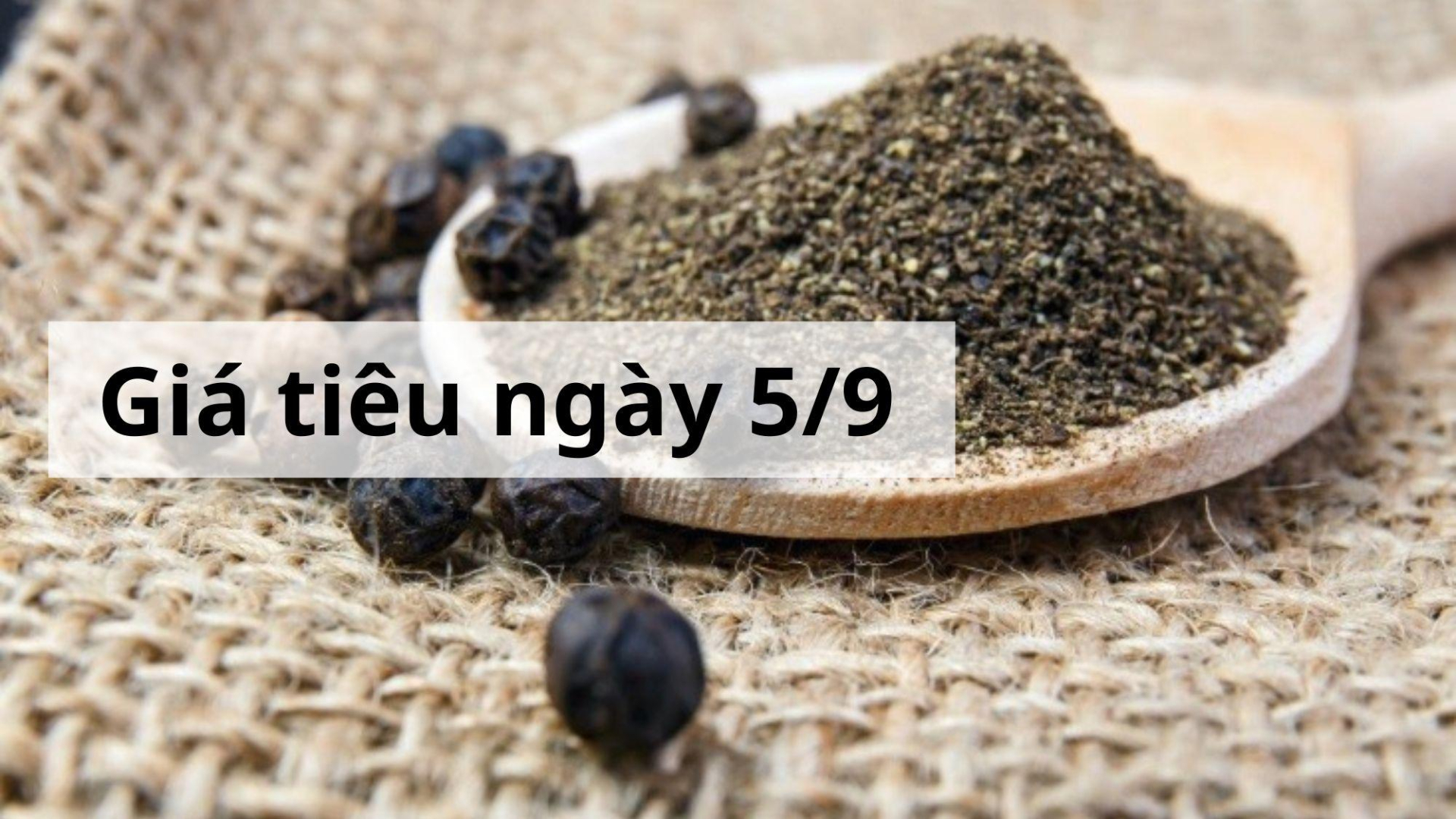 Giá tiêu hôm nay ngày 1605 (5)