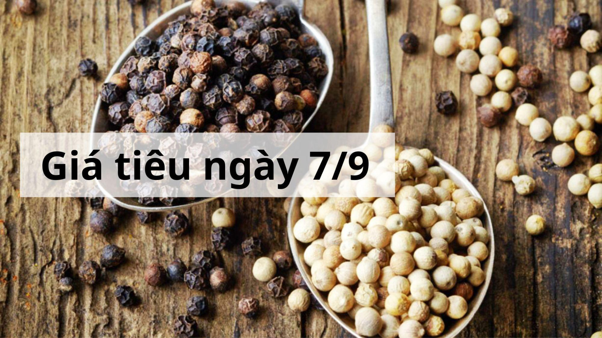 Giá tiêu hôm nay ngày 1605 (13)