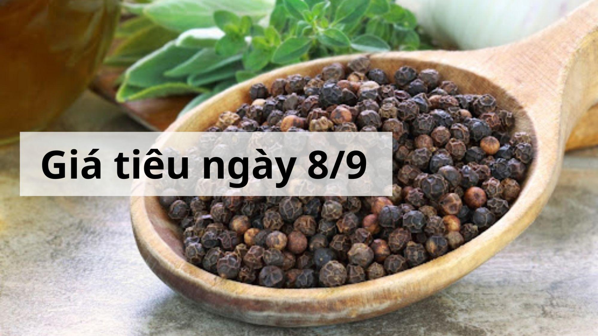 Giá tiêu hôm nay ngày 1605 (1)