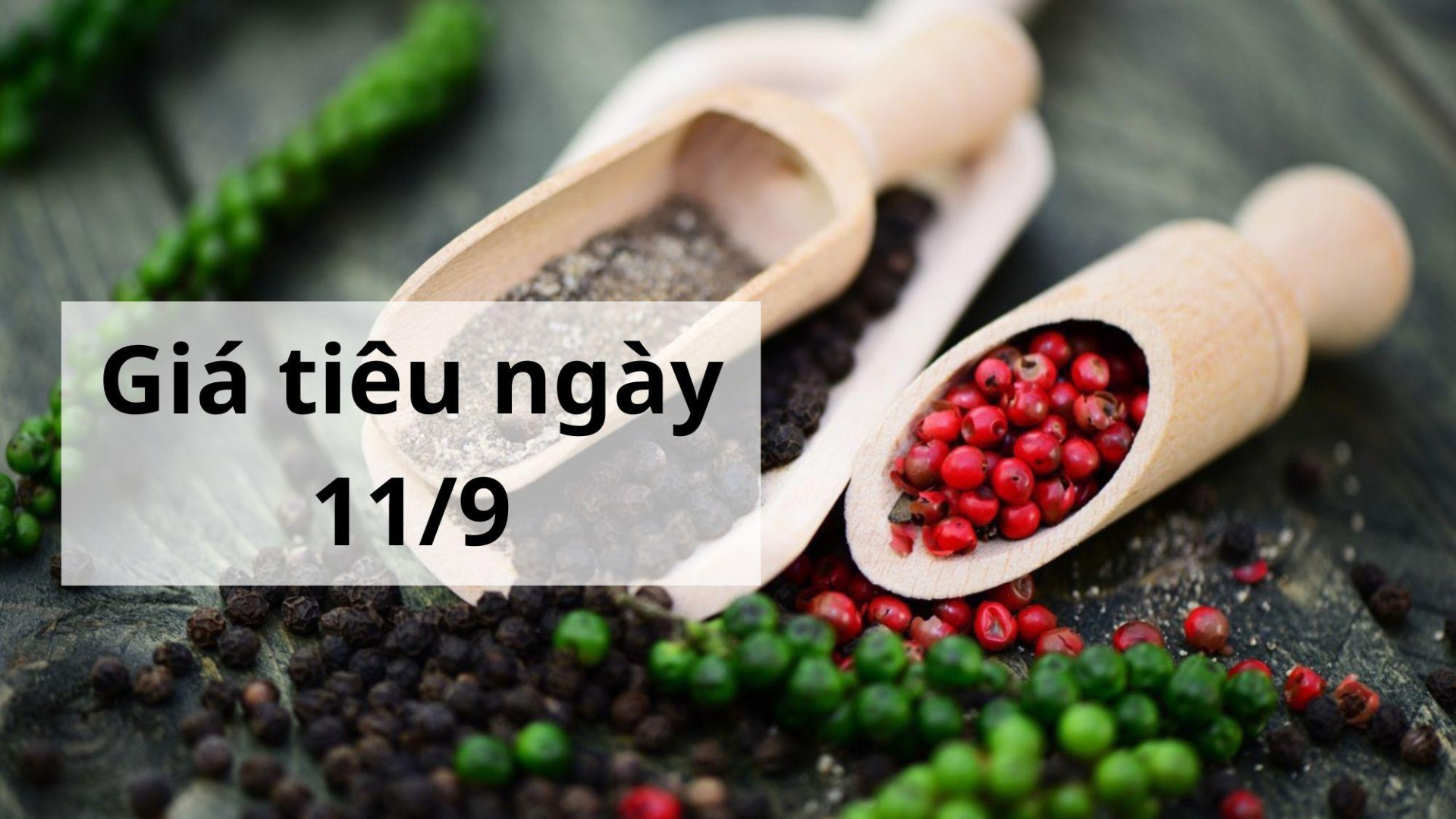 Giá tiêu hôm nay ngày 1605 (4)