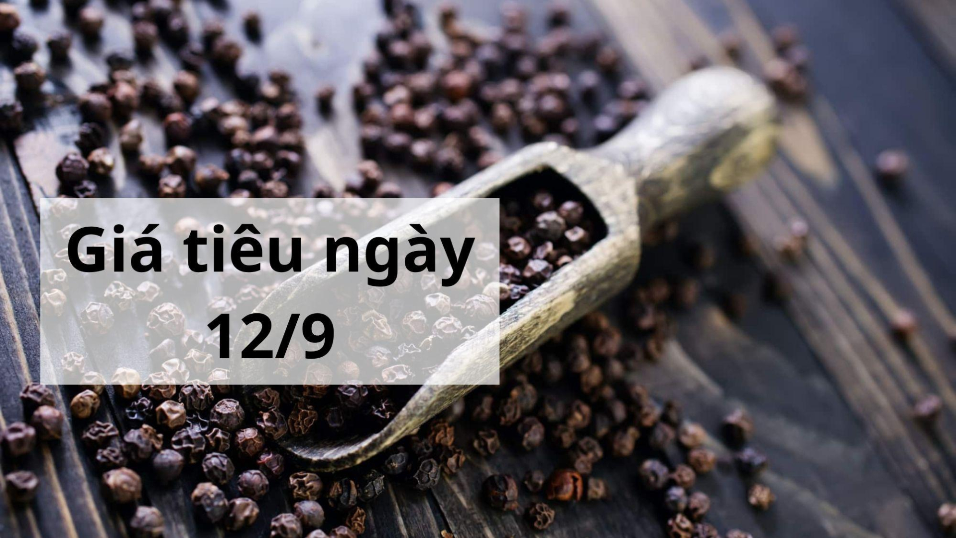 Giá tiêu hôm nay ngày 1605 (9)