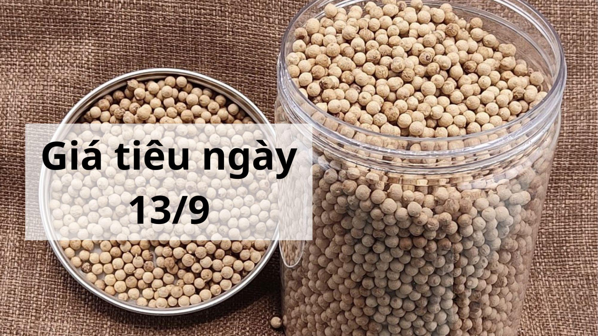 Giá tiêu hôm nay ngày 1605 (12)