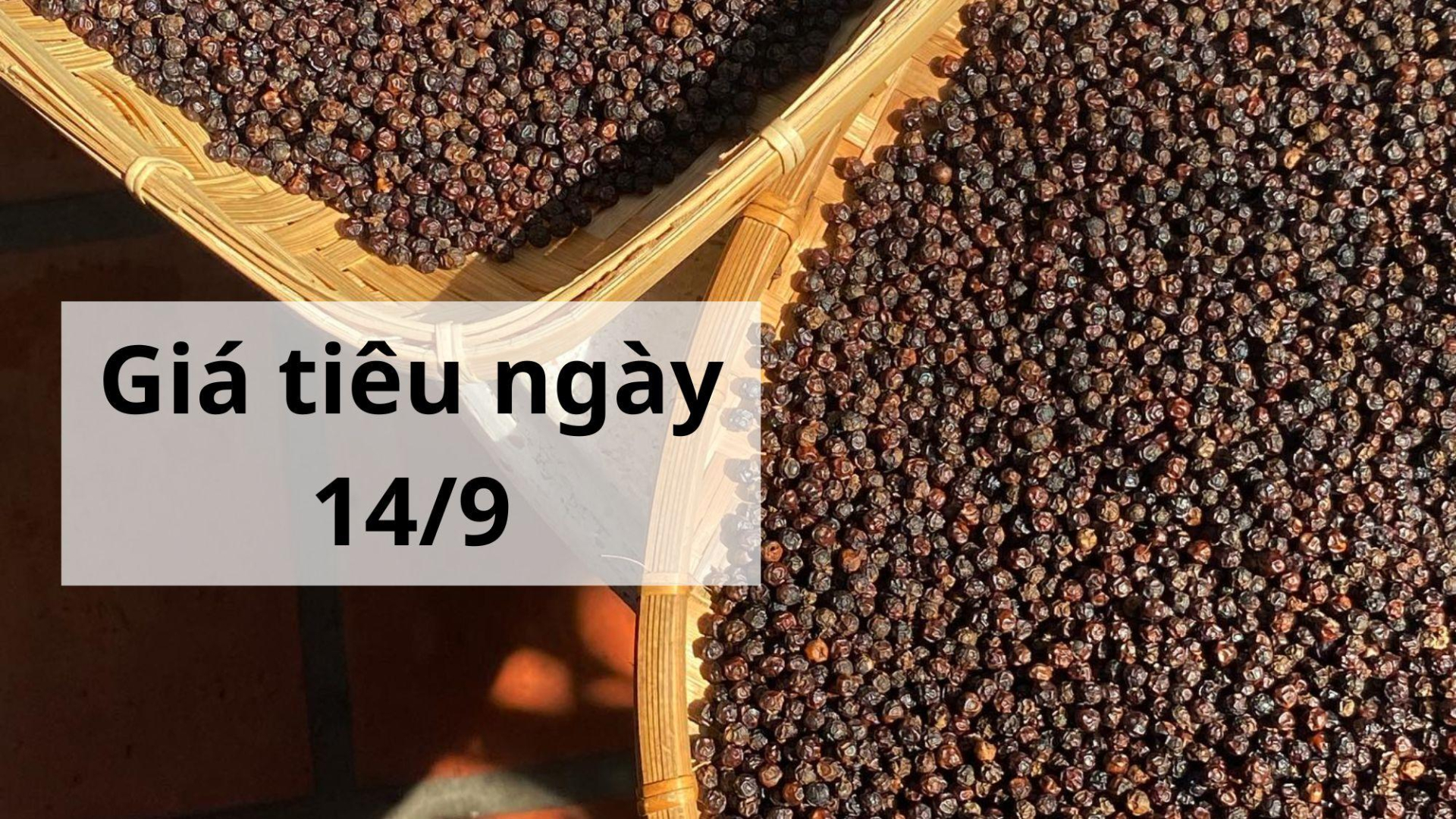 Giá tiêu hôm nay ngày 1605 (16)