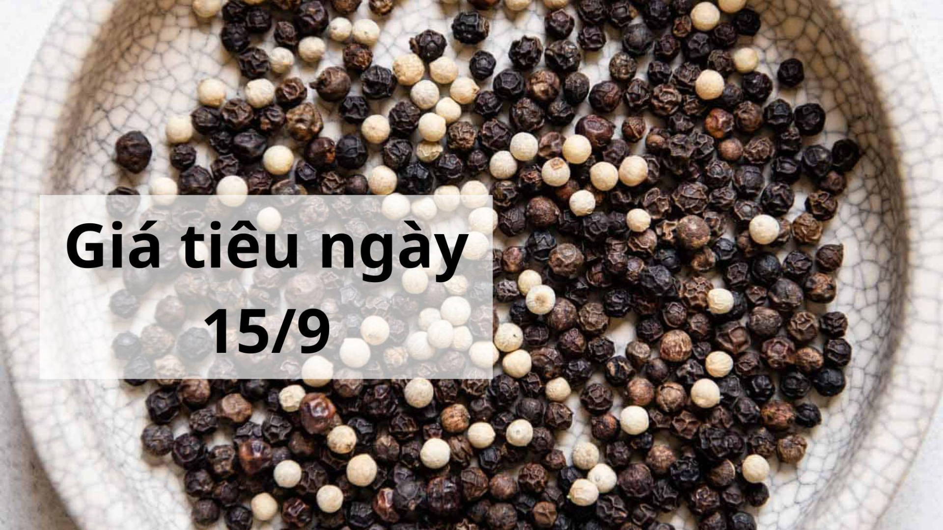 Giá tiêu hôm nay ngày 1605 (12)