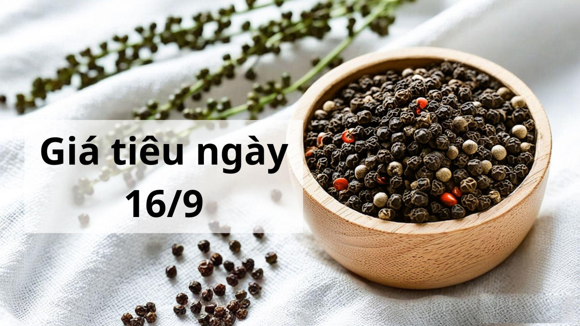 Giá tiêu hôm nay ngày 1605 (16)