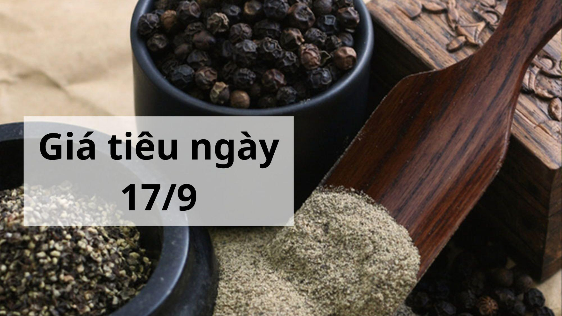 Giá tiêu hôm nay ngày 1605 (2)