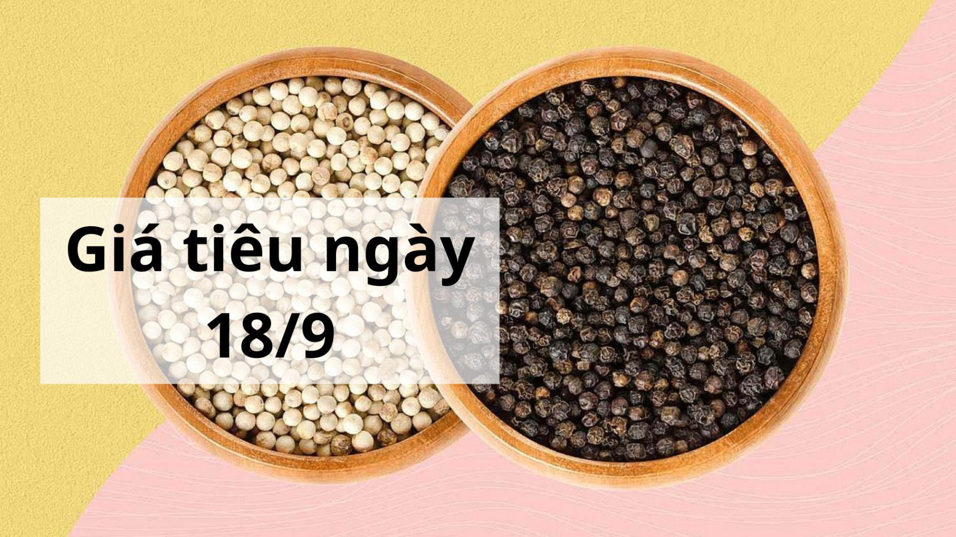 Giá tiêu hôm nay ngày 1605 (2)