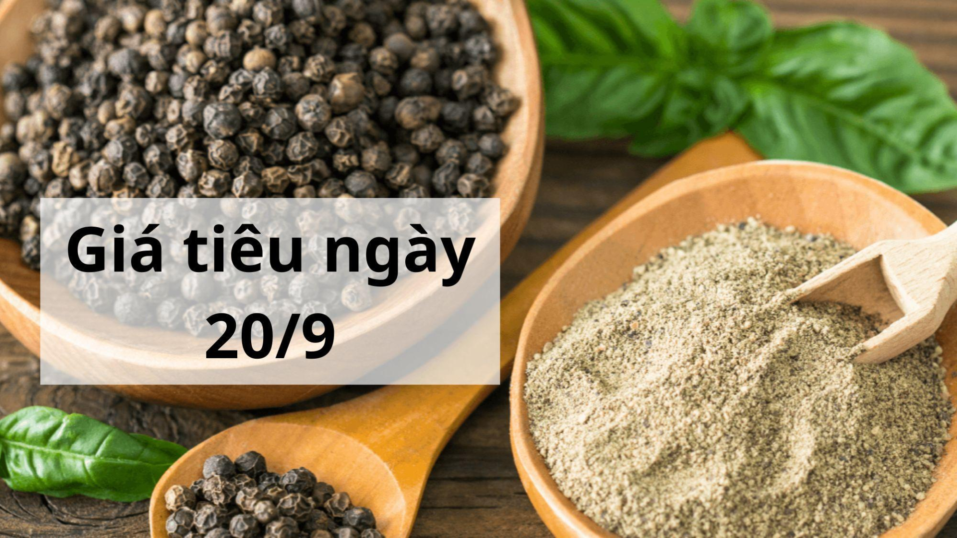 Giá tiêu hôm nay ngày 1605 (2)