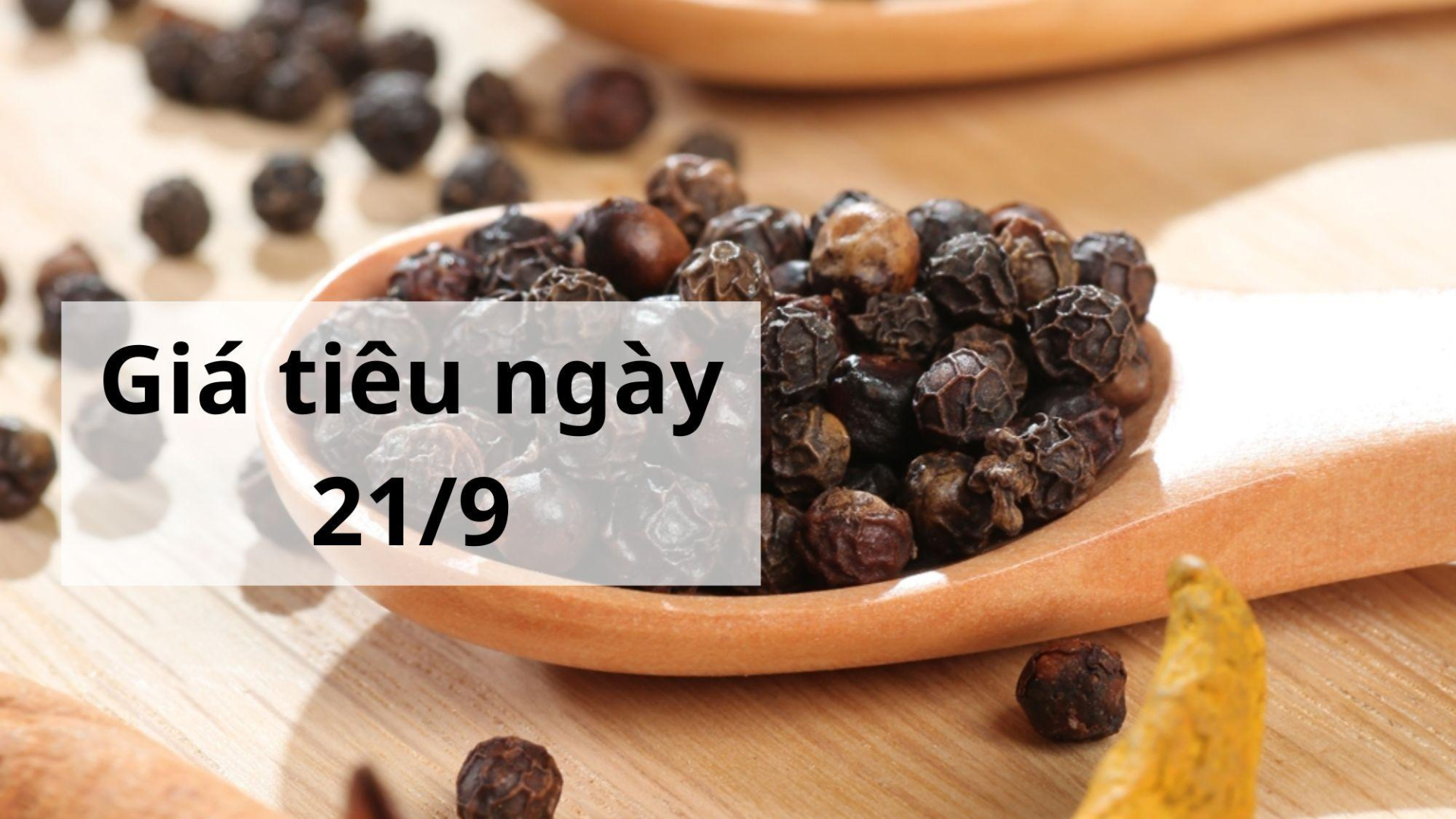 Giá tiêu hôm nay ngày 1605 (1)