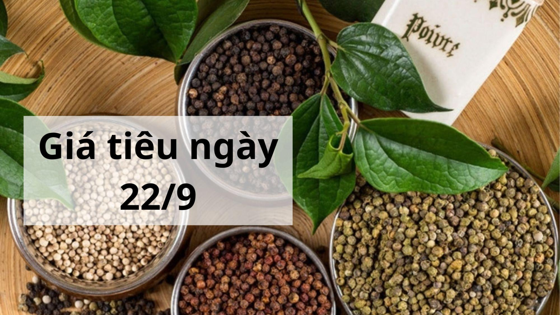 Giá tiêu hôm nay ngày 1605 (1)