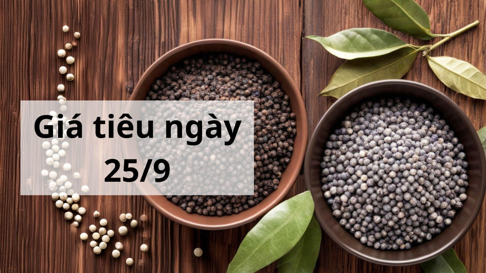 Giá tiêu hôm nay ngày 1605 (1)