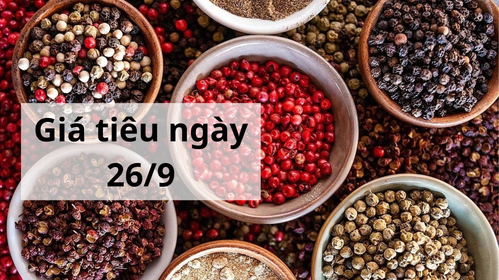 Giá tiêu hôm nay ngày 1605 (6)