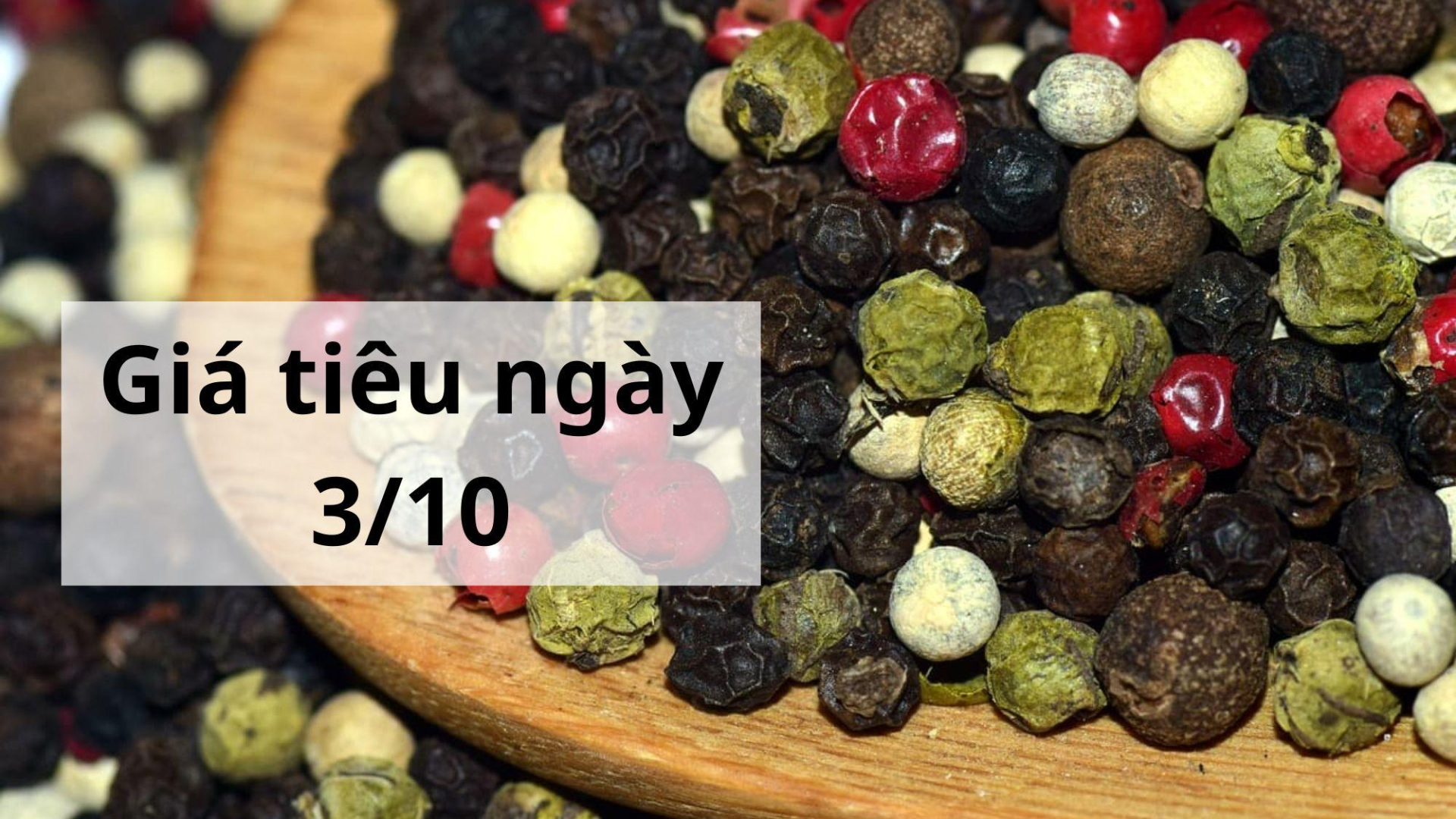 Giá tiêu hôm nay ngày 1605 (1)