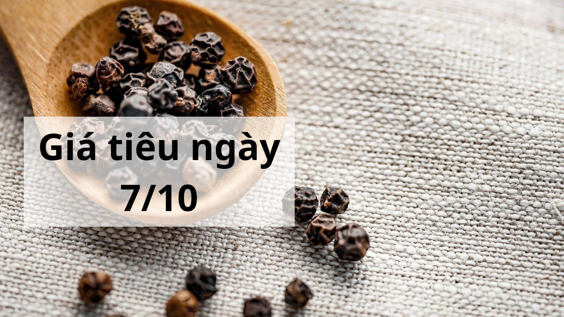 Giá tiêu hôm nay ngày 1605 (4)