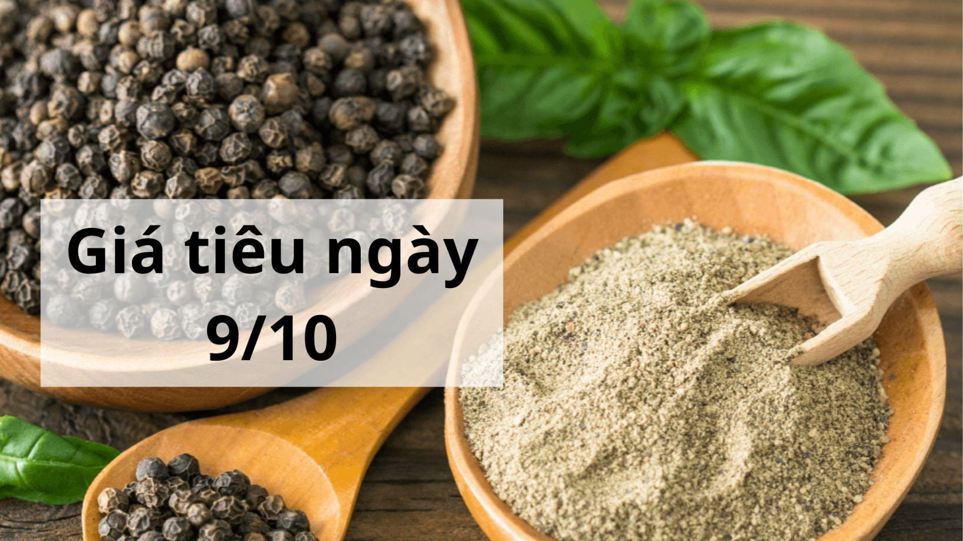 Giá tiêu hôm nay ngày 1605 (1)