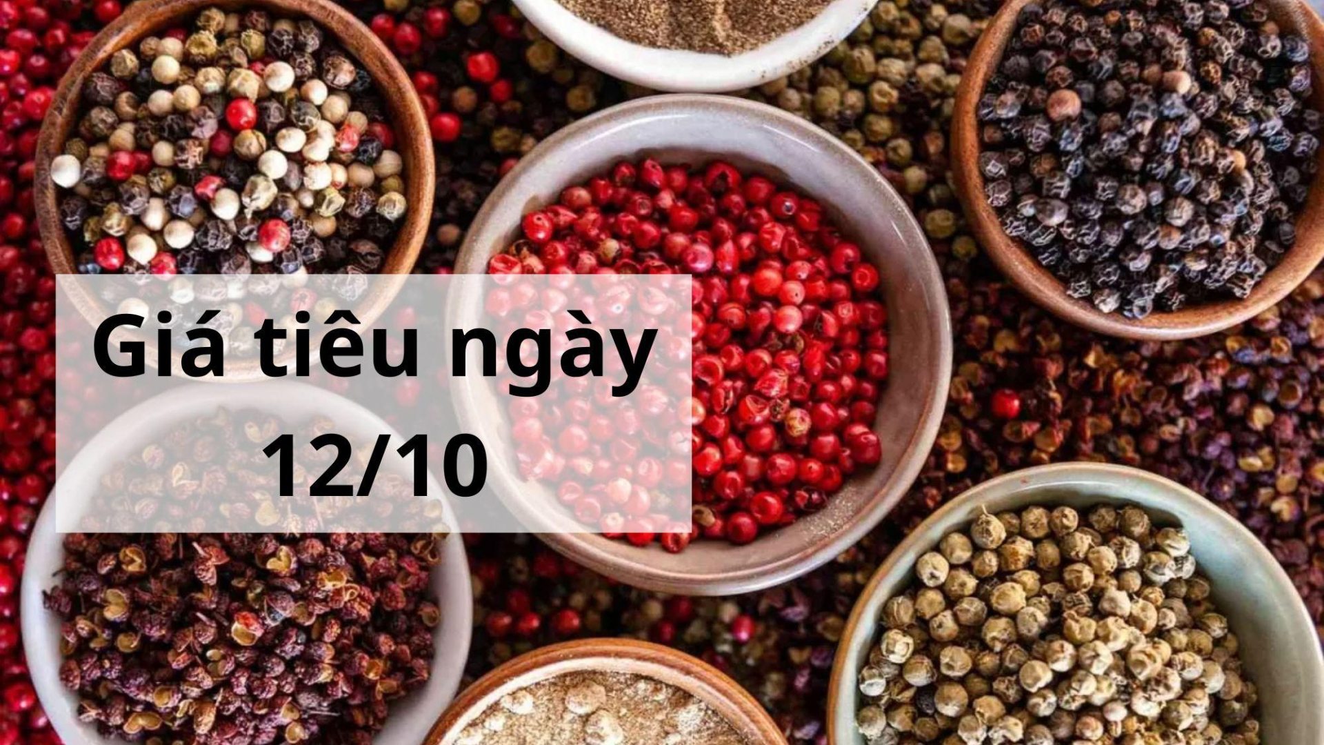 Giá tiêu hôm nay ngày 1605 (2)