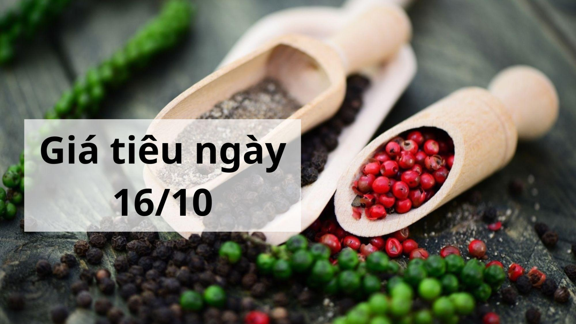 Giá tiêu hôm nay ngày 1605 (1)