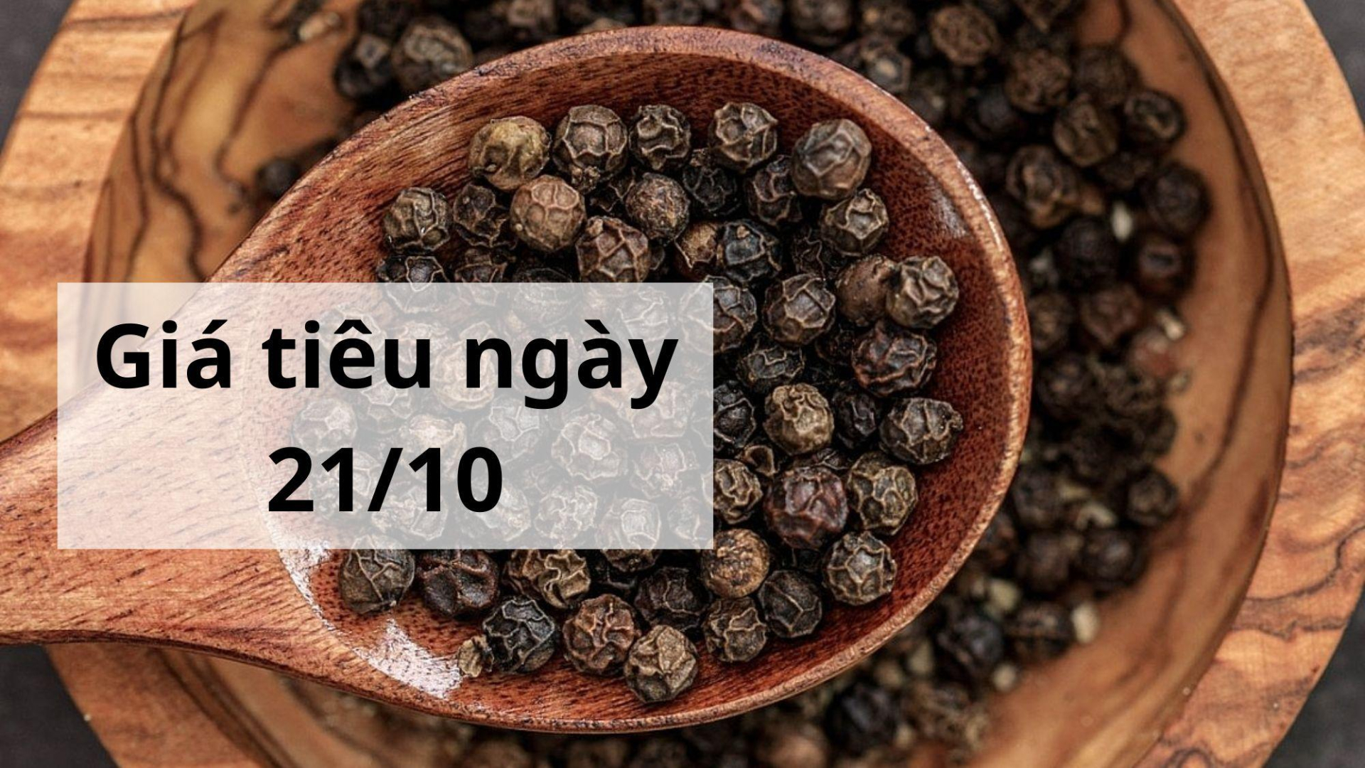 Giá tiêu hôm nay ngày 1605 (1)