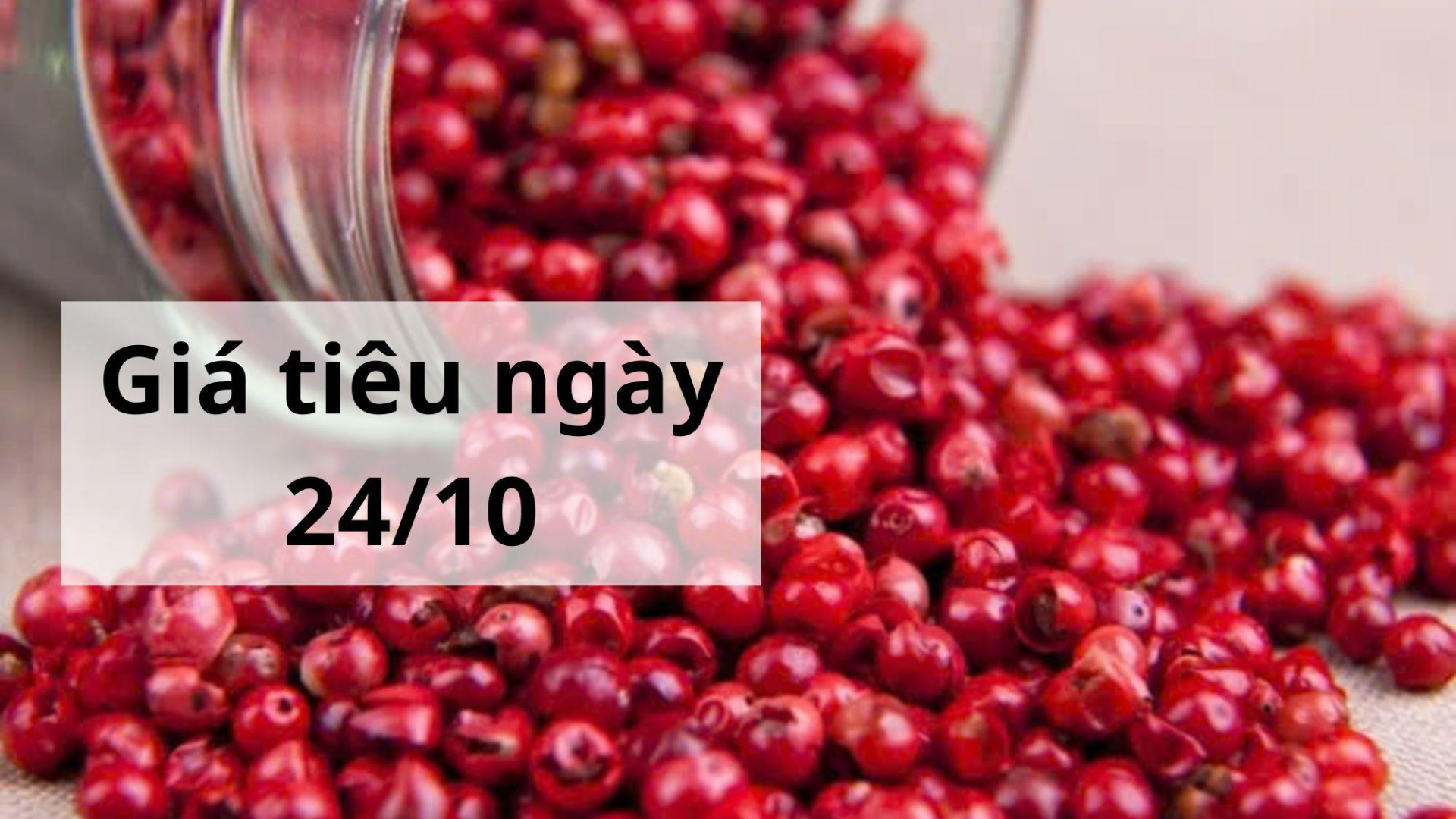 Giá tiêu hôm nay ngày 1605 (2)