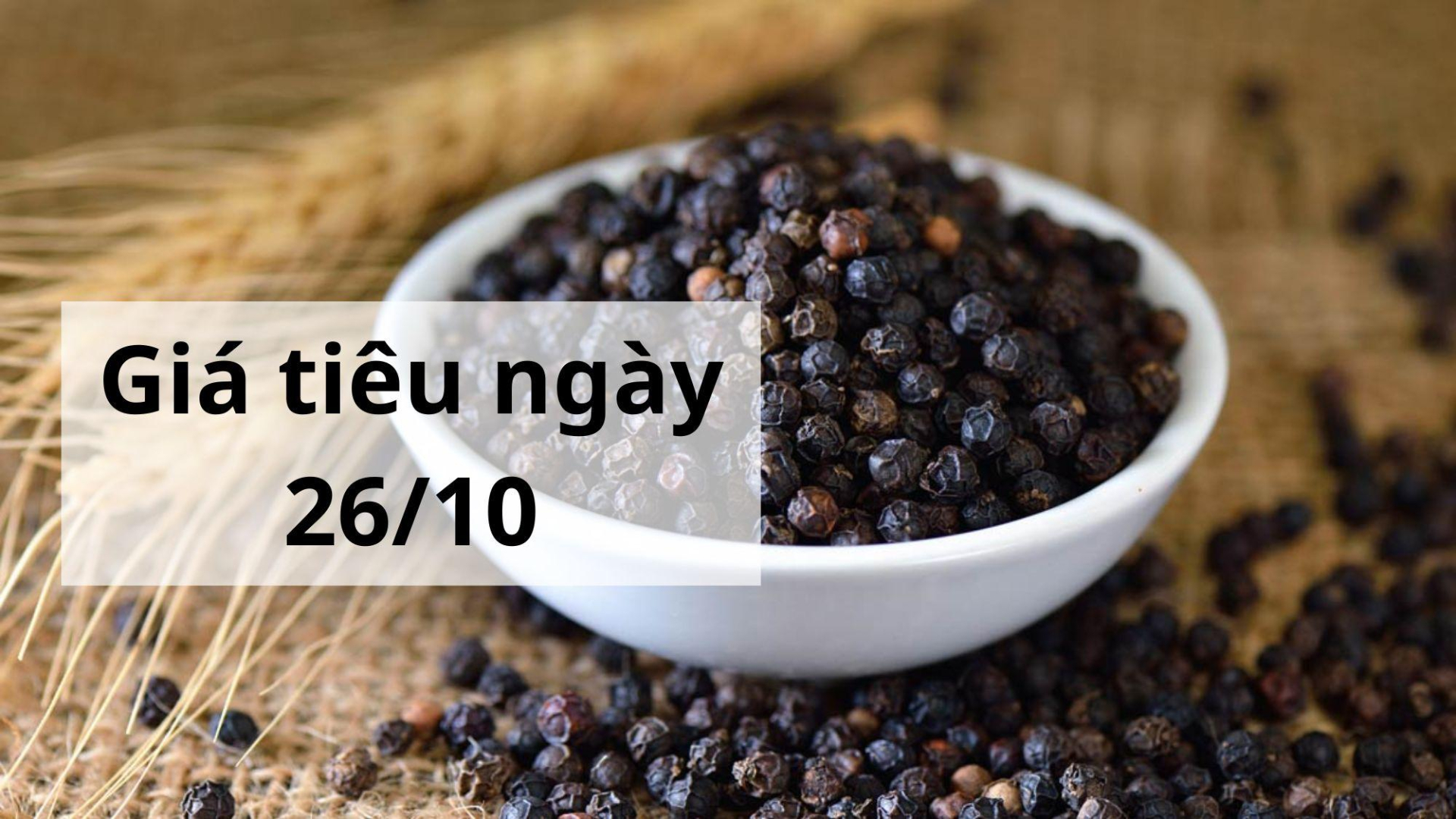 Giá tiêu hôm nay ngày 1605 (5)