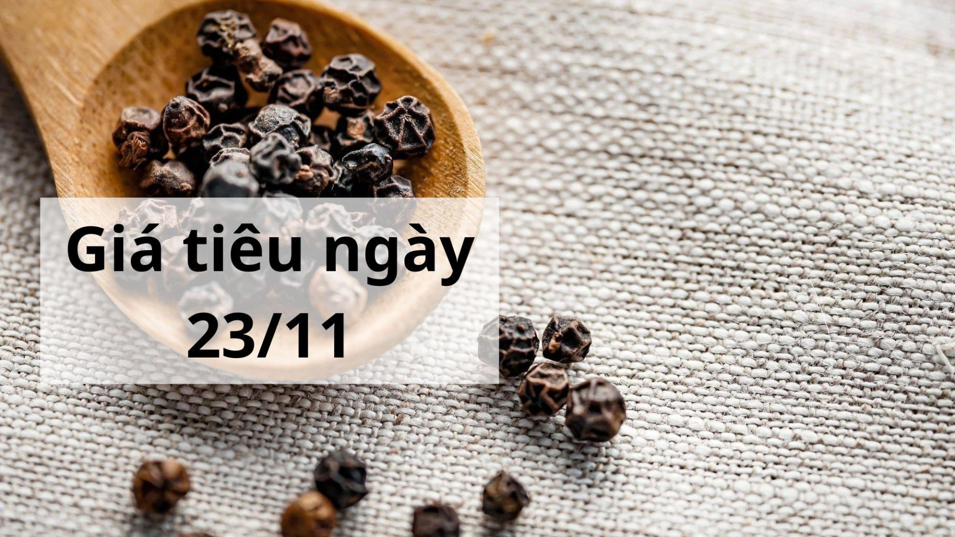 Giá tiêu hôm nay ngày 1605 (5)