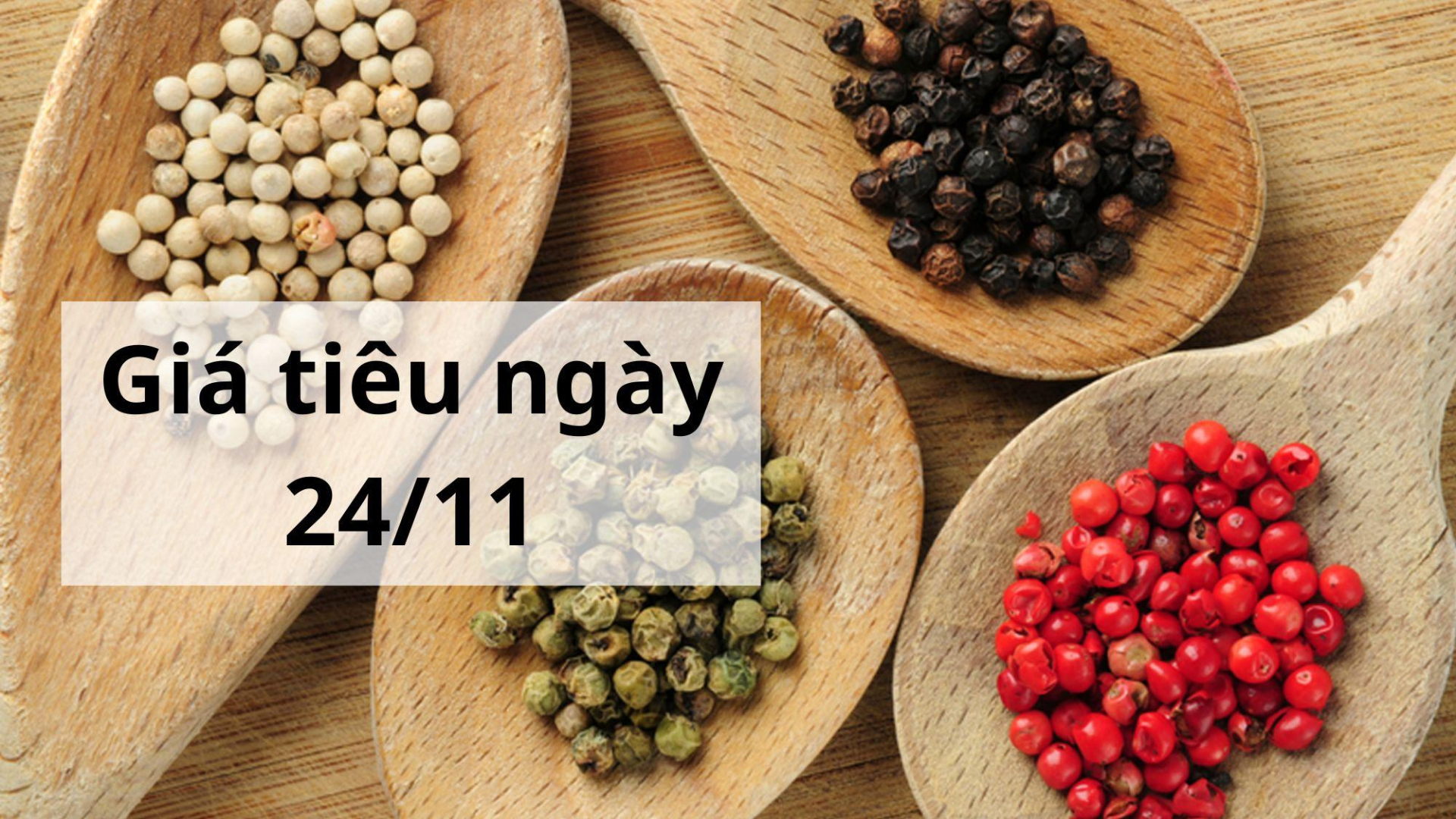 Giá tiêu hôm nay ngày 1605 (1)