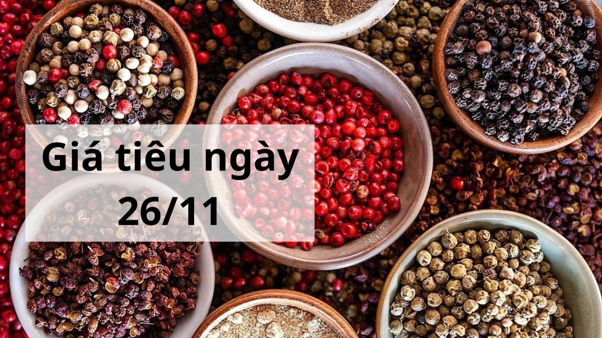 Giá tiêu hôm nay ngày 1605 (2)