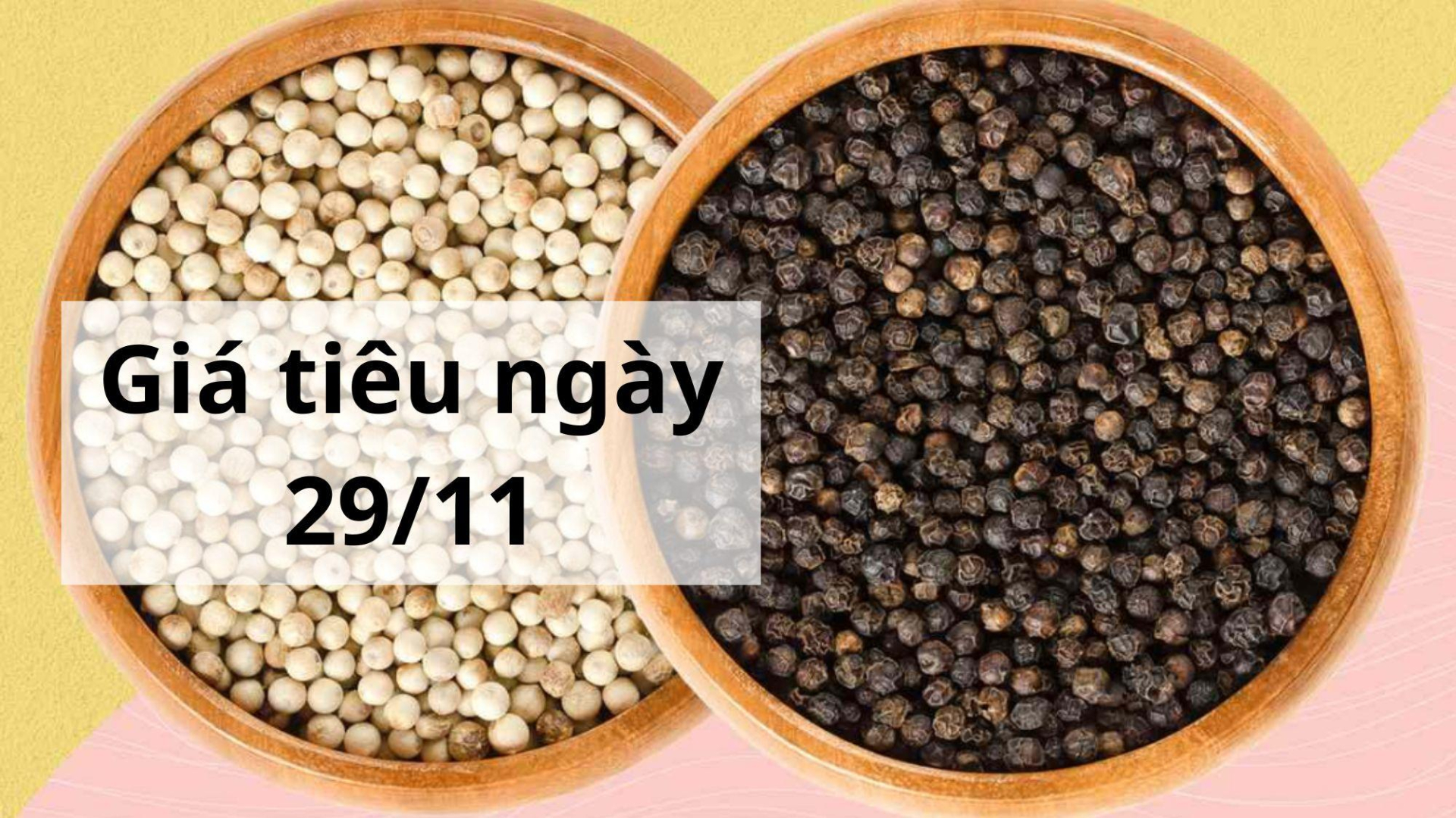 Giá tiêu hôm nay ngày 1605