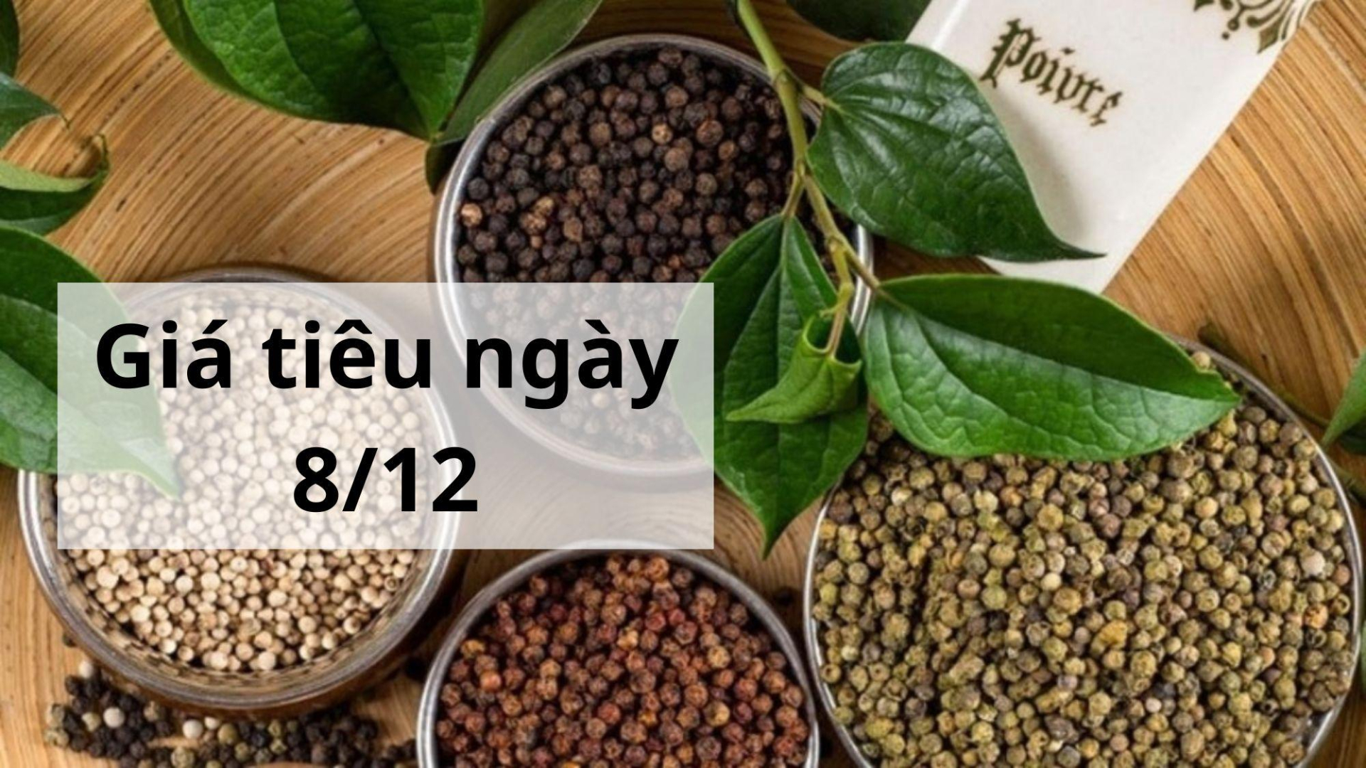 Giá tiêu hôm nay ngày 1605 (3)