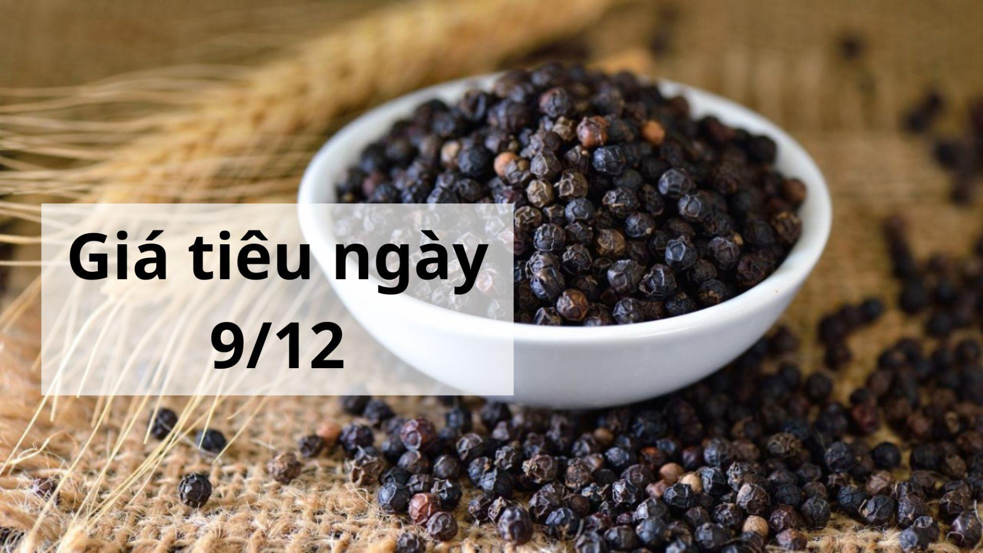 Giá tiêu hôm nay ngày 1605 (5)